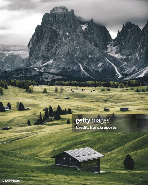 vista altoatesina con alpi sullo sfondo - trolese foto e immagini stock