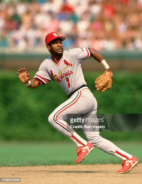 Ozzie Smith of the St. Louis Cardinals fields during an MLB game versus the Chicago Cubs at Wrigley Field in Chicago, Illinois during the 1990 season.