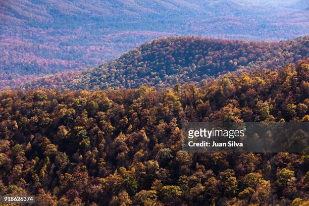 colorful autumn colors on mountains at pisgah national forest - pisgah national forest stock pictures, royalty-free photos & images