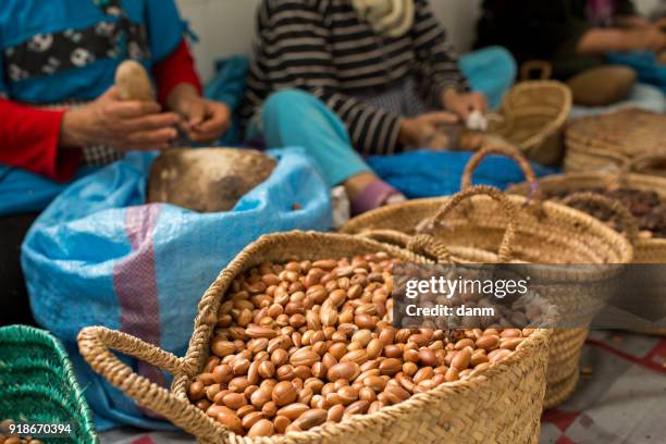 woman working on argan oil factory in morocco - argan stock pictures, royalty-free photos & images