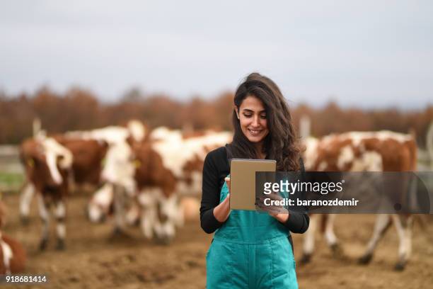 junge bäuerin mit einem digitalen tablet - female animal stock-fotos und bilder