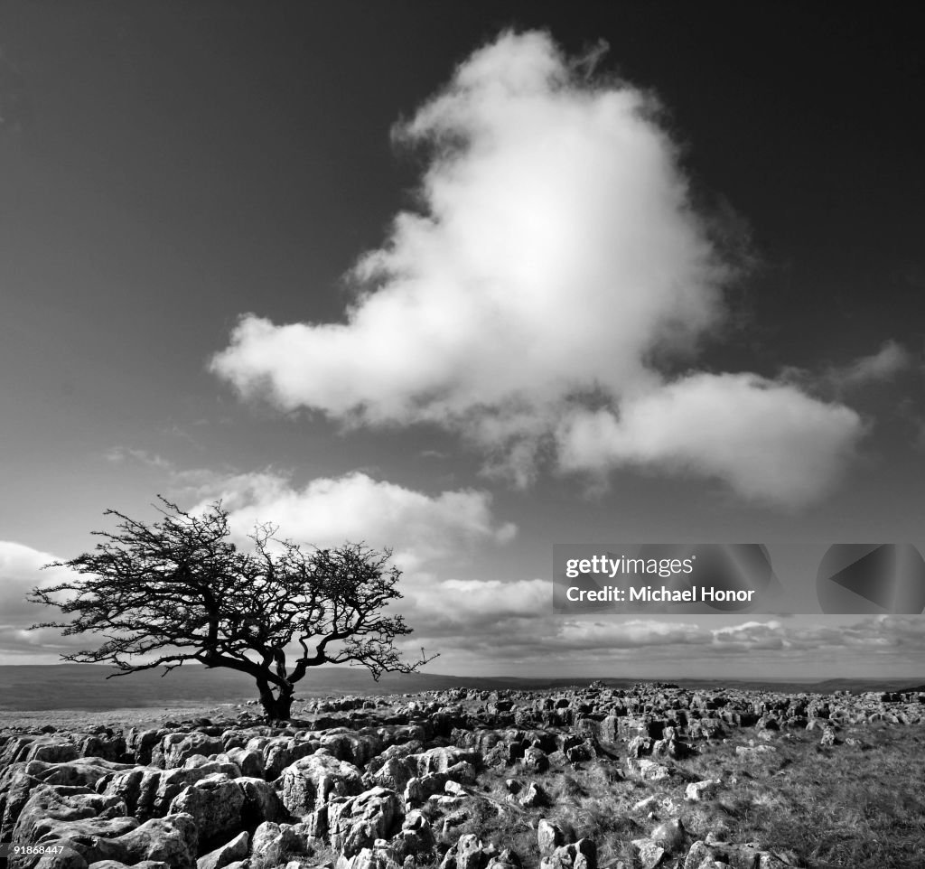 Twistleton Scar