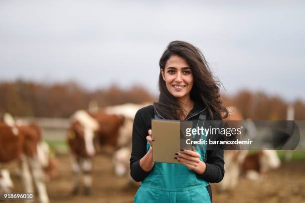 joven granjero de sexo femenino con una tableta digital - hereford cattle fotografías e imágenes de stock