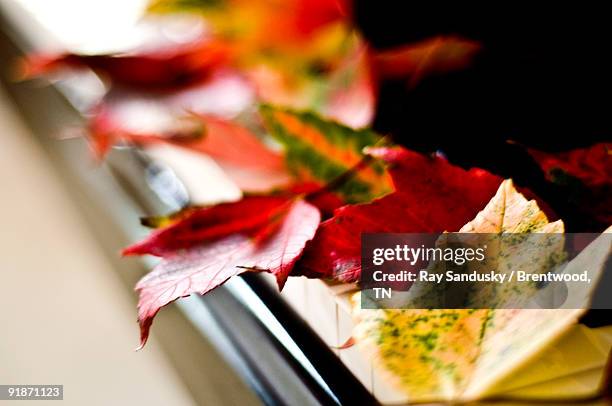 autumn leaves on piano  - brentwood tennessee stock pictures, royalty-free photos & images