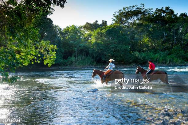 costa rica, horseback riding, sarapiqui river - costa rica stock pictures, royalty-free photos & images