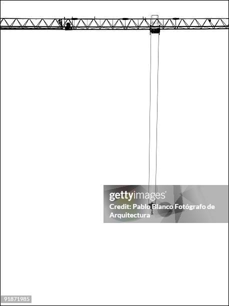 crane in black against a white background - white crane stock pictures, royalty-free photos & images