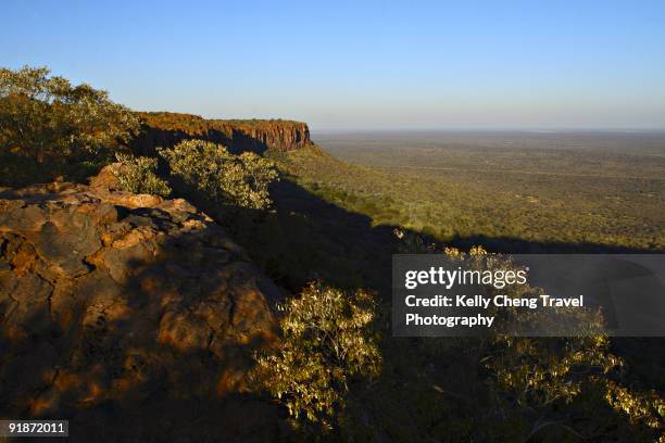 waterberg plateau national park - bosveld van zuidelijk afrika stockfoto's en -beelden