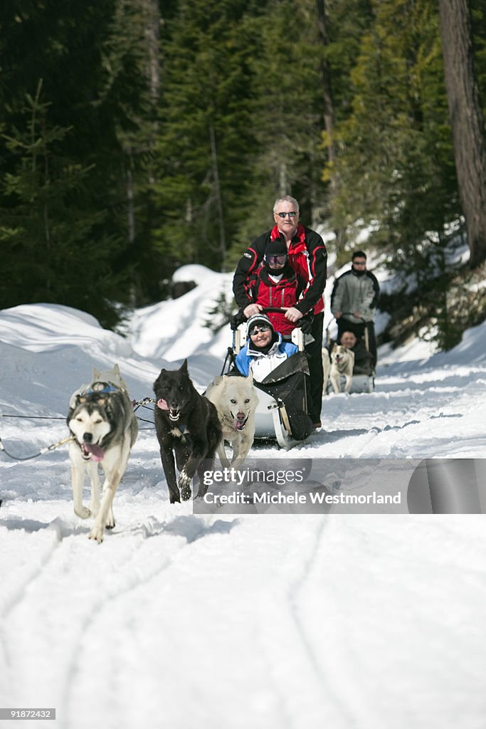 Dogsledding, Canada.