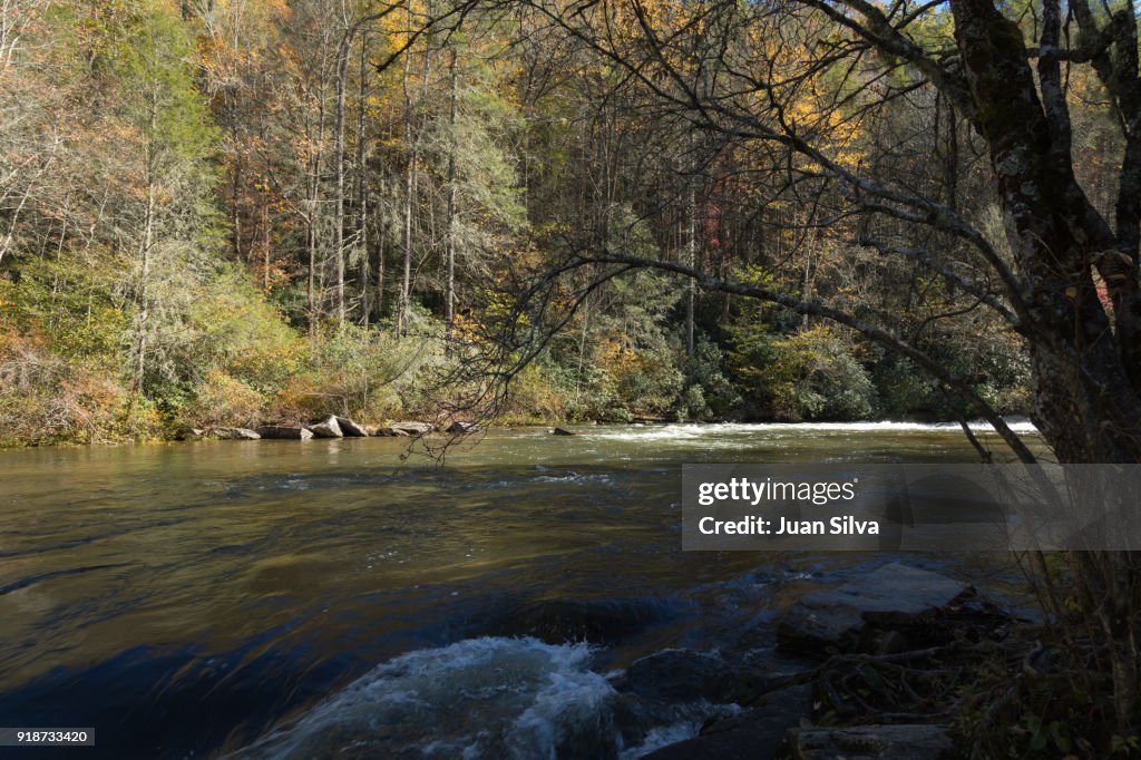 Little River, Pisgah National Forest