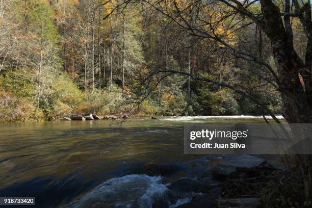 little river, pisgah national forest - pisgah national forest stock pictures, royalty-free photos & images