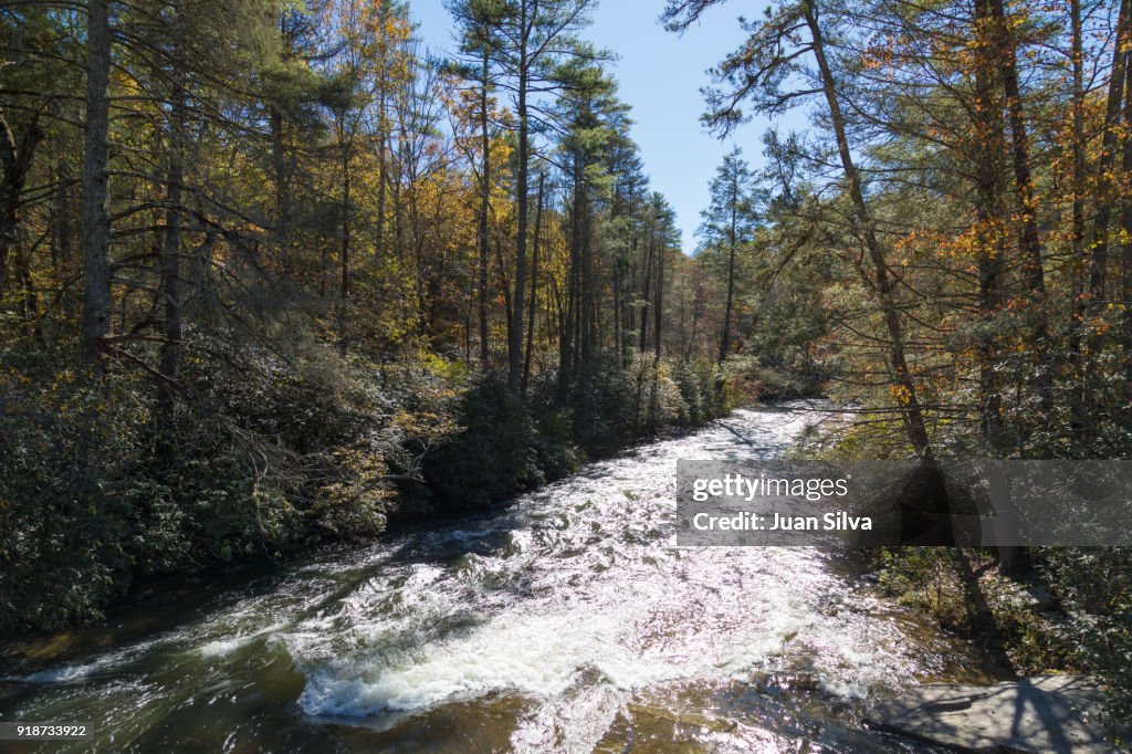 Little River, Pisgah National Forest