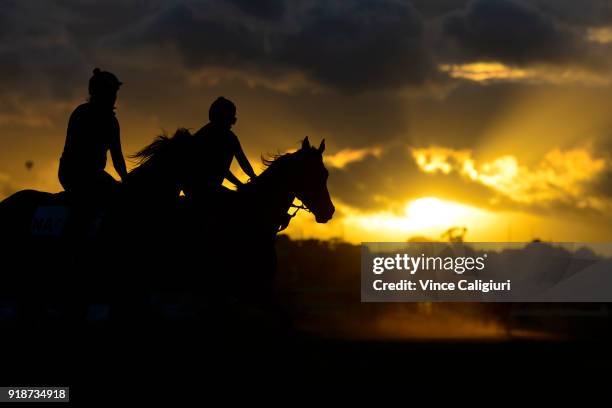 General view of horse and riders during trackwork at Flemington Racecourse on February 16, 2018 in Melbourne, Australia.