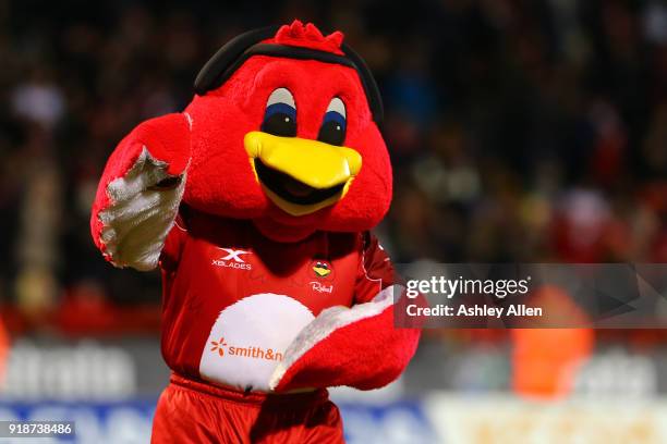 Hull KR's mascot Rufus during the BetFred Super League match between Hull KR and Catalans Dragons at KCOM Craven Park on February 15, 2018 in Hull,...
