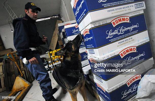 Policeman and his dog search for drug through boxes of pasta in a food shop during an operation against drug smugglers in Scampia, a quarter of...