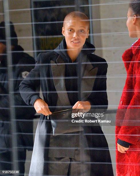 Adwoa Aboah seen at a New York Fashion Event on February 14, 2018 in New York City.