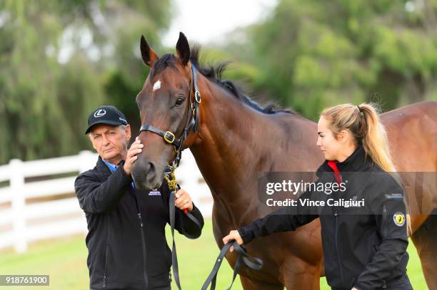 Trainer Peter Snowden poses with Redzel during a stable media call at Flemington Racecourse on February 16, 2018 in Melbourne, Australia. Redzel will...