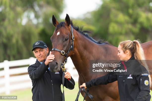 Trainer Peter Snowden poses with Redzel during a stable media call at Flemington Racecourse on February 16, 2018 in Melbourne, Australia. Redzel will...