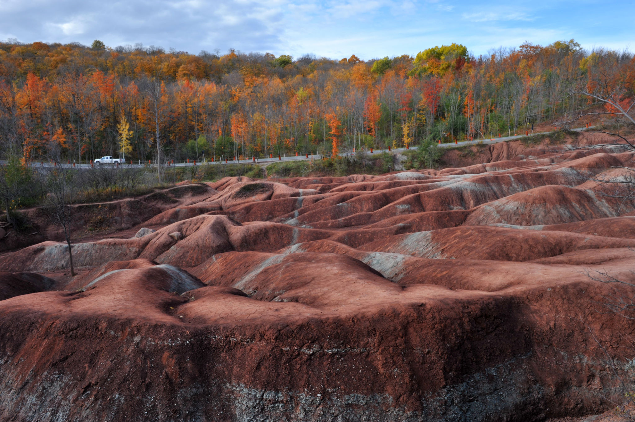 brampton landscape