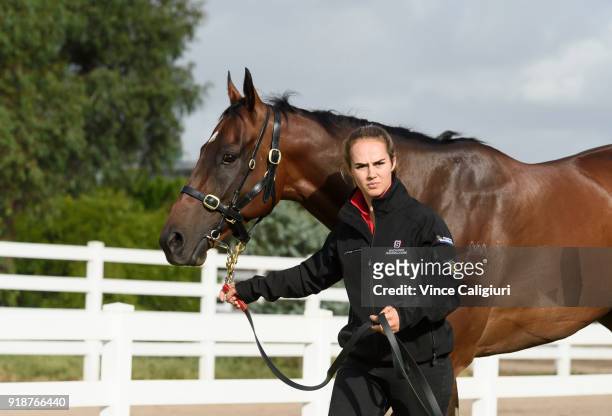 Christine Duffy poses with Redzel during a stable media call at Flemington Racecourse on February 16, 2018 in Melbourne, Australia. Redzel will start...