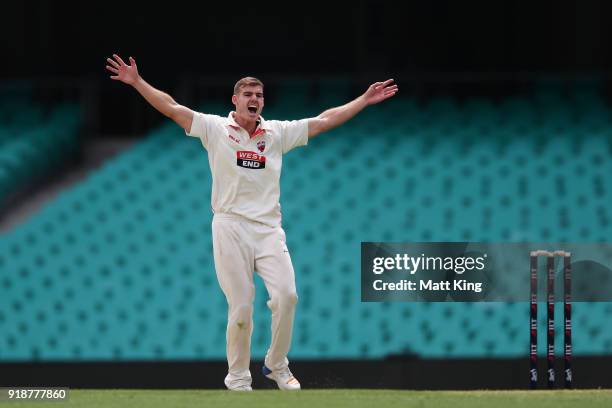 Nick Winter of the Redbacks celebrates taking the wicket of Ed Cowan of the Blues during day one of the Sheffield Shield match between New South...