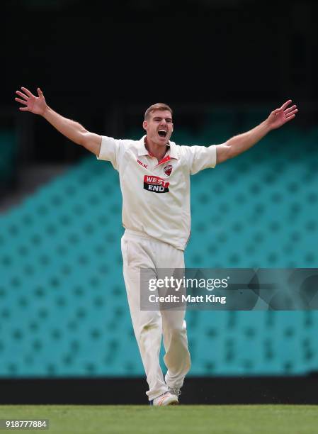 Nick Winter of the Redbacks celebrates taking the wicket of Ed Cowan of the Blues during day one of the Sheffield Shield match between New South...