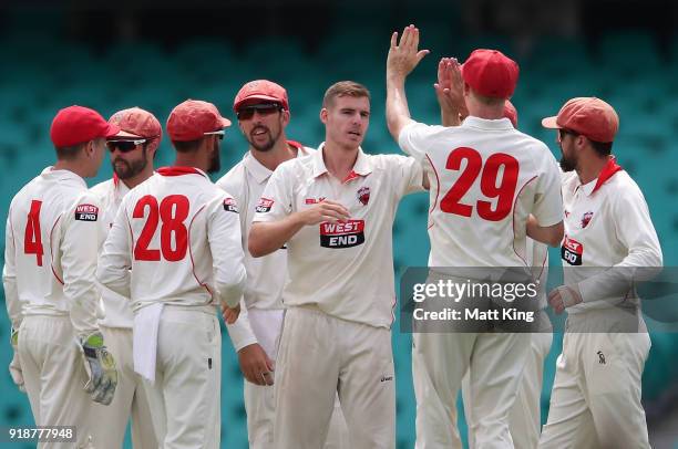 Nick Winter of the Redbacks celebrates with team mates after taking the wicket of Ed Cowan of the Blues during day one of the Sheffield Shield match...