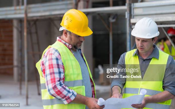 reviewing blueprint - rolled up sleeves drawing stock pictures, royalty-free photos & images