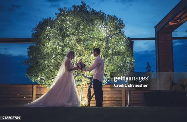 loving newlyweds standing beside tree in the evening. - first night of marriage stock pictures, royalty-free photos & images