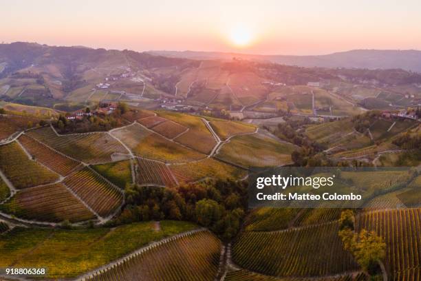 aerial view over le langhe vineyards, piedmont, italy - cuneo stock-fotos und bilder