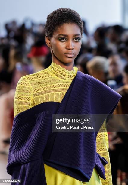 Model walks runway for Leanne Marshall Fall/Winter 2018 runway show during New York Fashion Week at Spring Studios, Manhattan.