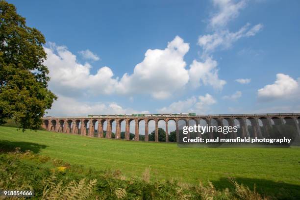 train crossing the balcombe viaduct - balcombe stock pictures, royalty-free photos & images