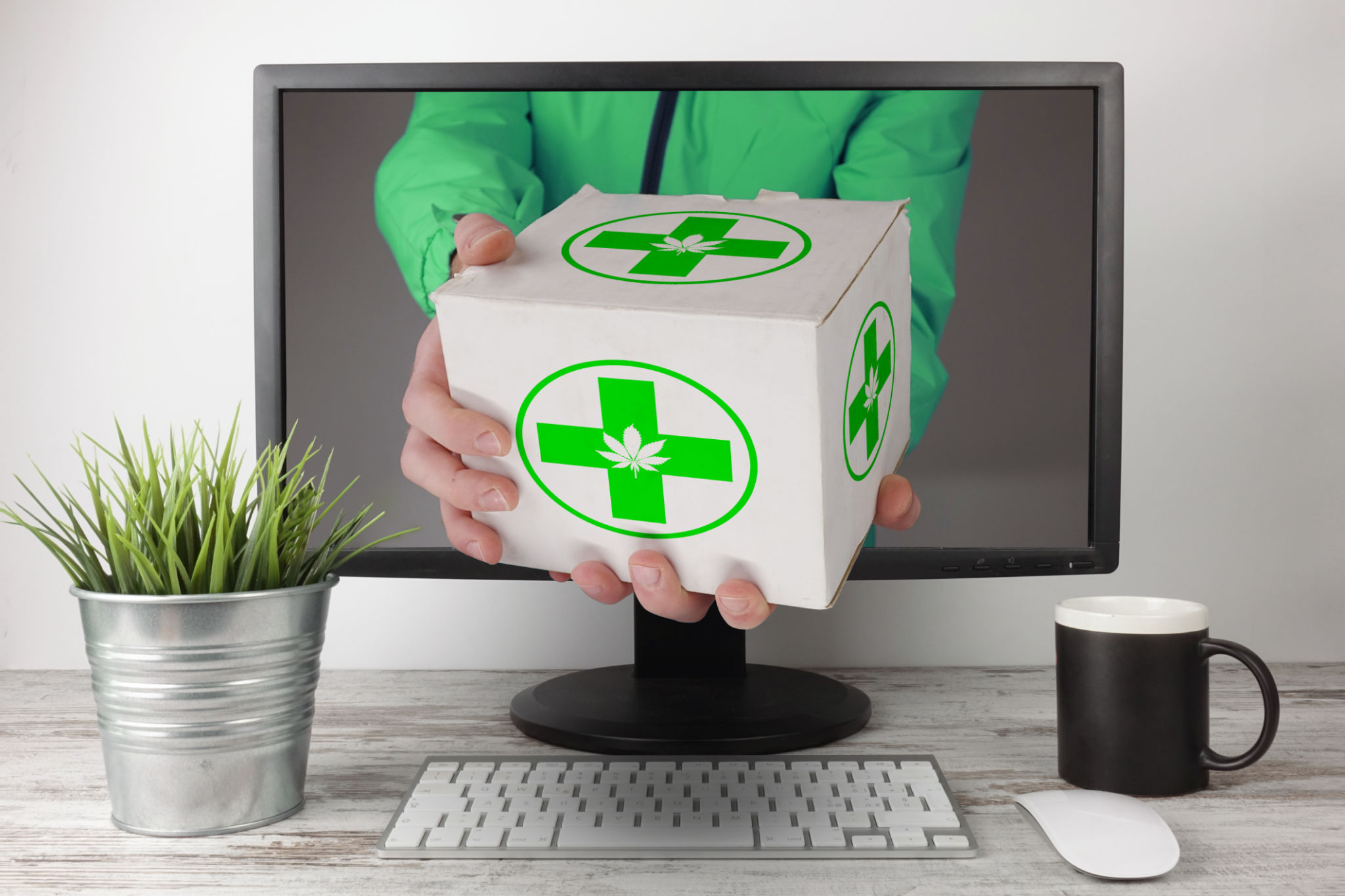 supply chain cannabis
