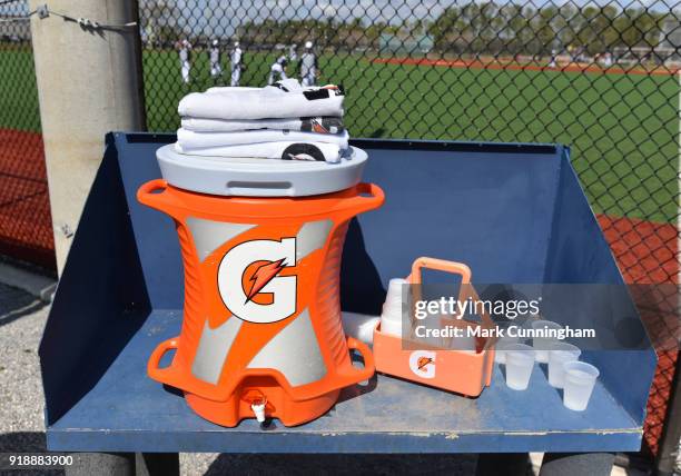 Detailed view of a Gatorade container, towels and cups during the Detroit Tigers Spring Training workouts at the TigerTown Facility on February 14,...