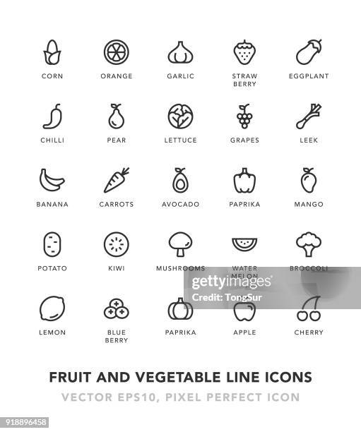 illustrations, cliparts, dessins animés et icônes de fruits et légumes ligne icônes - ail légume à bulbe