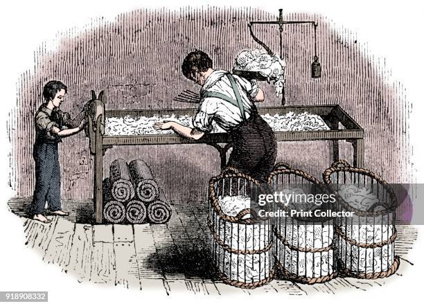 Cotton manufacture, c1845. An adult 'hand' with a boy assistant, forming cotton into 'laps' so that it could be put into the carding machine in a...