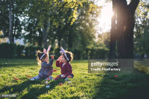 spelen in het park tijdens vakantie - baby bunny stockfoto's en -beelden