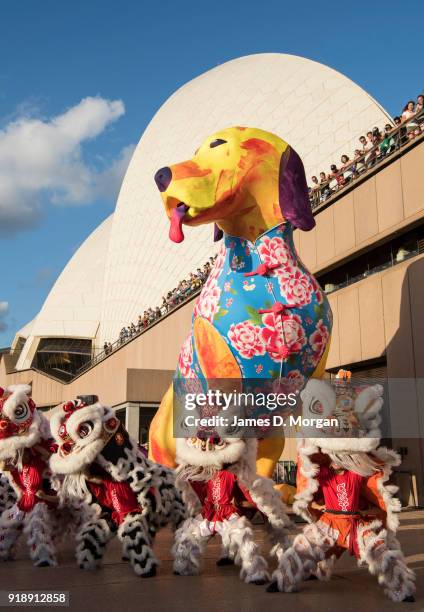 General view of the eight-metre, multi-coloured, illuminated dog lantern at the Sydney Opera House on February 16, 2018 in Sydney, Australia. The...