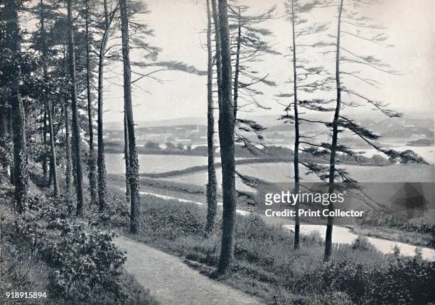 'Menai - From Bangor Wood', 1895. From Round the Coast. [George Newnes Limited, London, 1895]Artist Unknown.