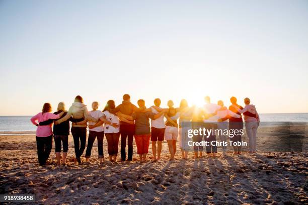 large group of friends arm in arm on the beach in sunlight - braços dados imagens e fotografias de stock