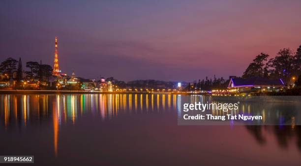 xuan huong lake at night - dalat city, vietnam - büro bäume nacht stock-fotos und bilder