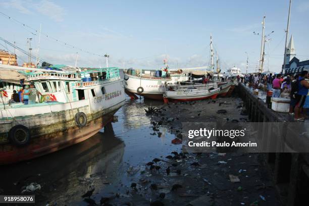 fishing boats at the ebb tide in guajara bay in brazil - ebb tide stock pictures, royalty-free photos & images