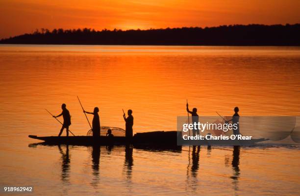 asmat crossing - irian jaya stock pictures, royalty-free photos & images