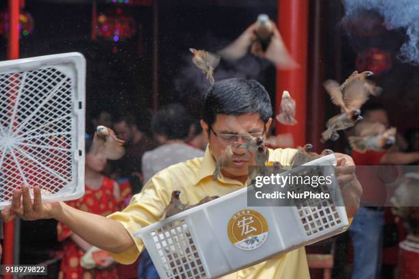 Indonesian ethnic Chinese releases birds, which is believed to bring good luck as a part of Chinese Lunar New Year celebrations at Petak Sembilan...