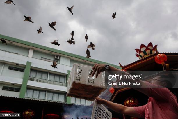 Indonesian ethnic Chinese releases birds, which is believed to bring good luck as a part of Chinese Lunar New Year celebrations at Petak Sembilan...