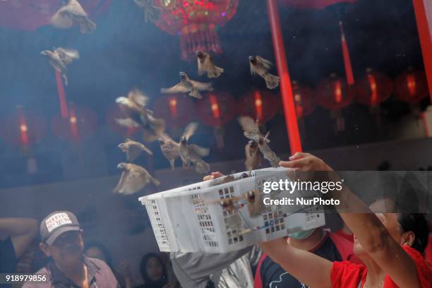 Indonesian ethnic Chinese releases birds, which is believed to bring good luck as a part of Chinese Lunar New Year celebrations at Petak Sembilan...