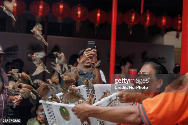Indonesian ethnic Chinese releases birds, which is believed to bring good luck as a part of Chinese Lunar New Year celebrations at Petak Sembilan...