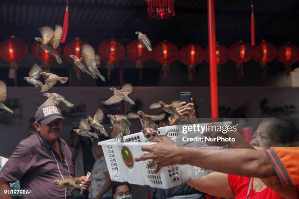 Indonesian ethnic Chinese releases birds, which is believed to bring good luck as a part of Chinese Lunar New Year celebrations at Petak Sembilan...