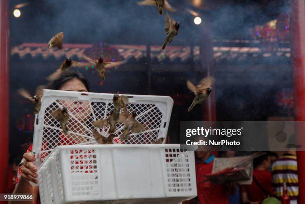 Indonesian ethnic Chinese releases birds, which is believed to bring good luck as a part of Chinese Lunar New Year celebrations at Petak Sembilan...