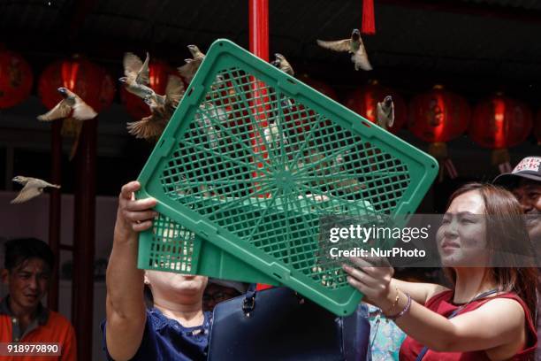 Indonesian ethnic Chinese releases birds, which is believed to bring good luck as a part of Chinese Lunar New Year celebrations at Petak Sembilan...