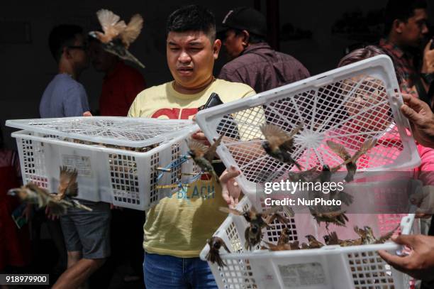 Indonesian ethnic Chinese releases birds, which is believed to bring good luck as a part of Chinese Lunar New Year celebrations at Petak Sembilan...